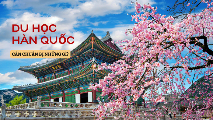 hanh trang can thiet du hoc han quoc can chuan bi nhung gi hinh 1